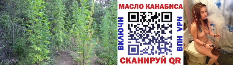 shop как зайти  Королёв  Дистиллят ТГК жижа 